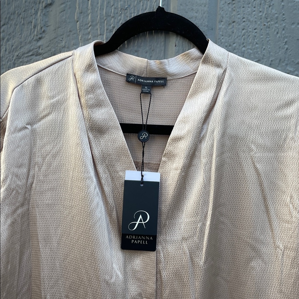 NWT Adrianna Papell Beige Textured Button Down Blouse Size: XL - Picture 3 of 9